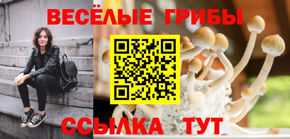 Галлюциногенные грибы Magic Shrooms Ленинск-Кузнецкий